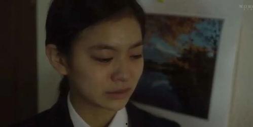 我的母亲4在线观看,温情回顾，家庭情感大戏在线放送  第2张